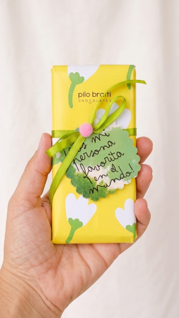 Tabletas de chocolate x12